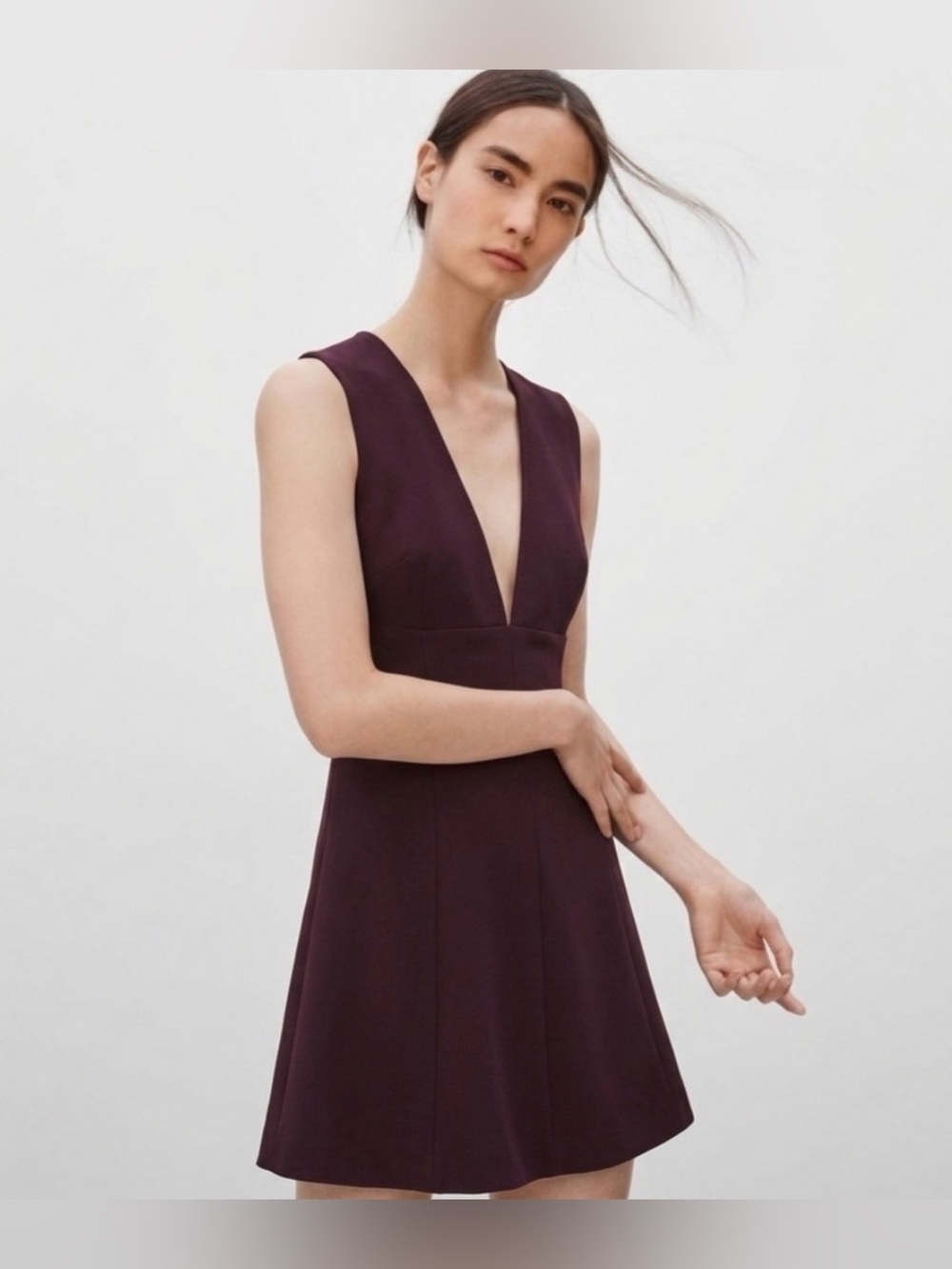 Aritzia Wilfred - Crepette Montbrun Plum Fit & Flare Dress